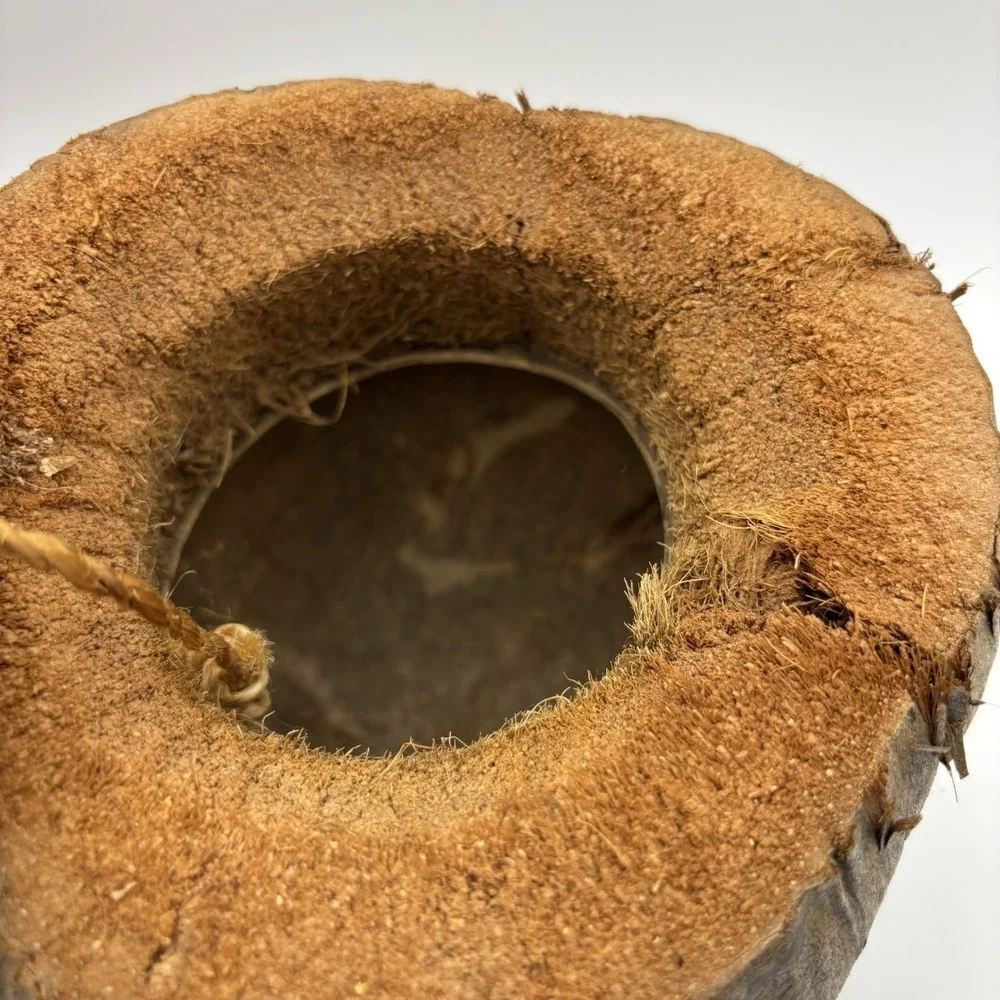 Hand Carved Coconut Monkey Bank Raw‎ from Indonesia 8x6x6